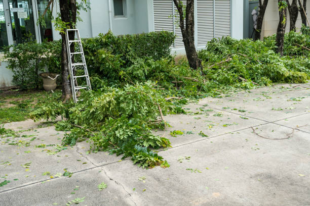 Best Emergency Tree Removal  in Hebron, PA