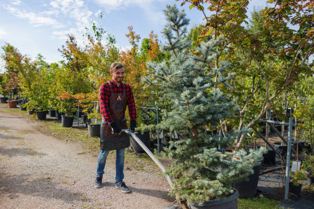 Why Choose Our Tree Removal Services in Hebron, PA?